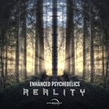 Artwork voor "Reality"