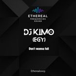 Artwork for "Don’t Wanna Fall"