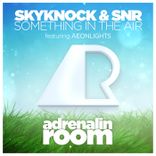 Something in the Air