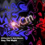 Artwork voor "Stay The Night"