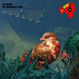 Portada para "The Strawberry Finch"