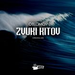 Portada para "Zvuki Kitov"