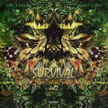 Artwork voor "Survival International Vol.2"
