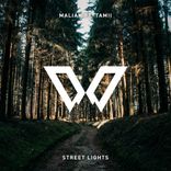 Portada para "Street Lights"
