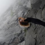 Artwork for "Too Much"