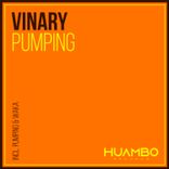 Artwork voor "Pumping"