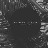 Artwork for "No Need To Rush, Vol.14"