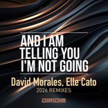 Artwork for "AND I AM TELLING YOU I'M NOT GOING (2026 REMIXES)"