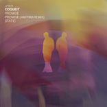 Artwork voor "Promise"