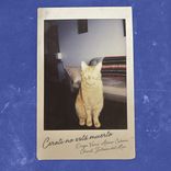 Artwork für "Cerati No Esta Muerto"