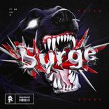 Artwork voor "Surge"