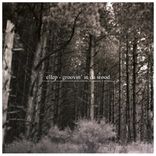 Artwork for "Groovin In Da Wood"