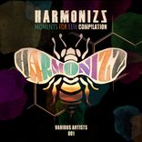 Artwork für "Moments For Life Compilation"