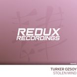 Artwork voor "Stolen Mind"