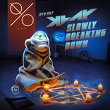 Artwork for "Slowly Breaking Down"