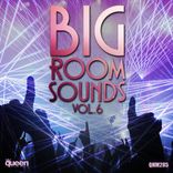 Artwork voor "Big Room Sounds, Vol. 6"