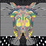 Portada para "Feitiço"