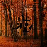 Artwork for "Jakaré"