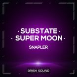 Artwork for "Substate / Super Moon"