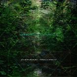 Interference Pattern