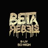 Artwork for "So High"