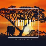 Artwork voor "Tribal Trip"