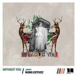 Artwork for "Without You"