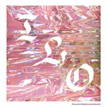 Bird Trough the Window