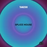 Artwork for "Splice House"