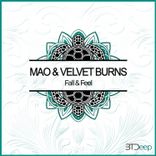 Artwork voor "Fall & Feel"