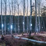 Portada para "Best of 2021"