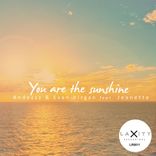 You Are The Sunshine