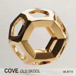 Portada para "Old Skool"