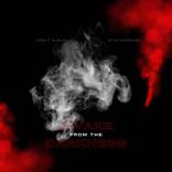 Artwork voor "Awake from Darkness"