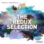 Artwork voor "Redux Selection, Vol. 1: 2020"