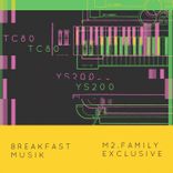 Artwork for "Ys2000"