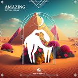 Portada para "Amazing"