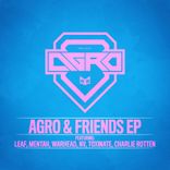 Artwork for "Agro & Friends"