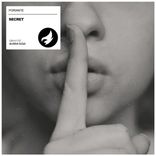 Artwork voor "Secret"