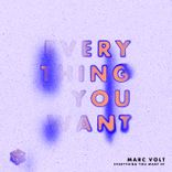 Artwork for "Everything You Want"
