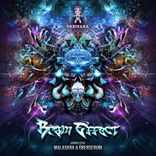 Into the Singularity