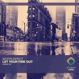 Artwork voor "Let Your Fire Out"