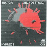 Artwork for "Self Destruct"