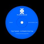 Artwork für "Arithmetic Overflow"