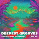 Artwork for "Deepest Grooves, Vol. 48"