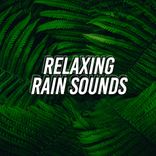 Portada para "Relaxing Rain Sounds"