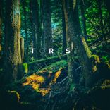 Portada para "Forest"