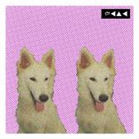 Artwork for "Dim Trail: EP"