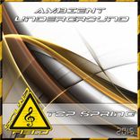 Artwork for "Ambient Underground Top Spring 2015"