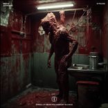 Artwork für "DOOMSDAY"